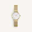 Small Edit Mesh Gold